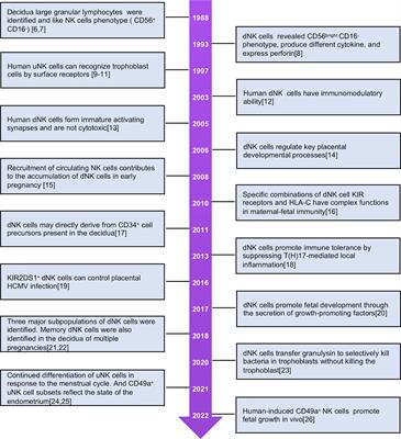 Uterine Natural Killer Cells: A Rising Star in Human Pregnancy Regulation